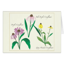 Wildflower card