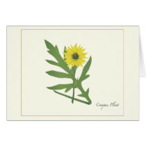 Wildflower card
