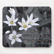 Wildflower Cluster Photography 2012 Calendar Mouse Pads
