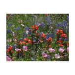Wildflower Dreams Postcard