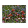 Wildflower Dreams Postcard