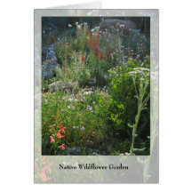 Wildflower Garden - Native Notecard