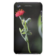 Wildflower iPod Touch Case-Mate Barely There