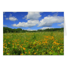 Wildflower Meadow in Summer Greeting Card