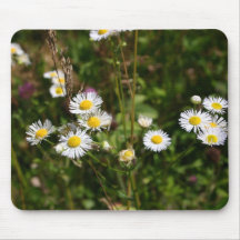 Wildflower Meadow Mouse Pads