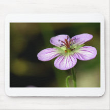 Wildflower Mousepad