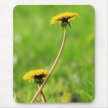 Wildflower Mousepad