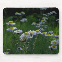 Wildflower Mousepad