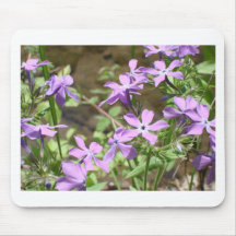 Wildflower- Purple Flowers Mouse Pad