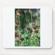 Wildflower seed heads mouse pad