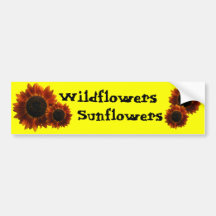 Wildflower Sunflowers Bumper Stickers