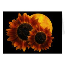 Wildflower Sunflowers Cards