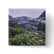 Wildflowers and Hidden Lake, Shrubby