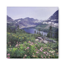 Wildflowers and Hidden Lake, Shrubby