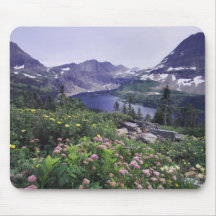 Wildflowers and Hidden Lake, Shrubby Mouse Pads