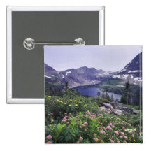 Wildflowers and Hidden Lake, Shrubby Pins