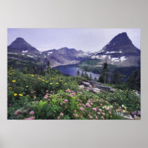 Wildflowers and Hidden Lake, Shrubby