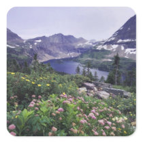 Wildflowers and Hidden Lake, Shrubby