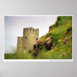 Wildflowers at the Cliffs of Moher, Ireland Poster