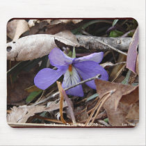 WildFlowers Birds-Foot Violet Hot Springs AR Gifts Mousepads