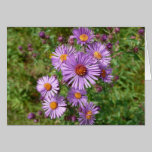 Wildflowers cards