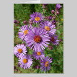 Wildflowers cards