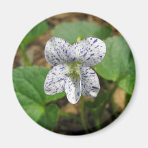 Wildflowers Collection Magnets
