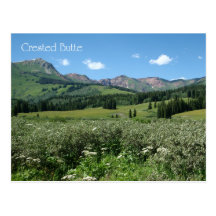 Wildflowers in Crested Butte Post Card