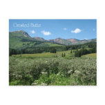 Wildflowers in Crested Butte Post Card