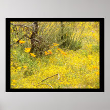 Wildflowers Meadow Print