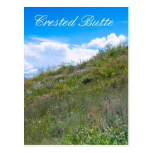Wildflowers on Hills Near Crested Butte Postcards