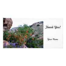 Wildflowers Photo Greeting Card