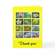Wildflowers Thank You