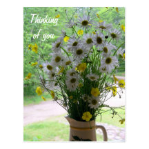 Wildflowers Thinking of You Postcard