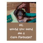 Wildlife Care Package Post Card