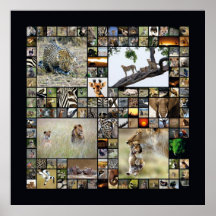 Wildlife Collage 1 Posterdruck