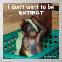 Wildlife Conservation Pouty Baby Print