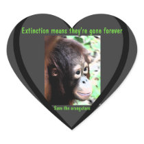 Wildlife Conservation