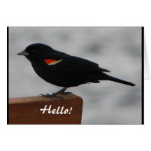 Wildlife Greeting Card