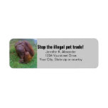 Wildlife Illegal Pet Trade Custom Return Address Label