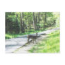 wildlife in the smokies #72 post card