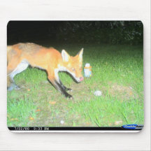 wildlife mouse pads