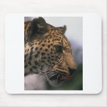 WILDLIFE MOUSEPADS