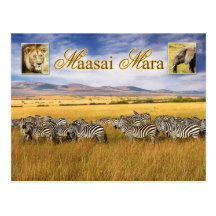 Wildlife of Maasai Mara in Kenya Post Card
