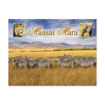 Wildlife of Maasai Mara in Kenya Post Card