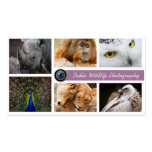 Wildlife Photographer Business Card business cards