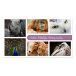 Wildlife Photography Business Card business cards