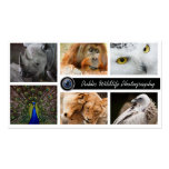 Wildlife Photography Photographer  Business Card business cards