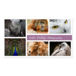 Wildlife Photography Photographers Business Card business cards