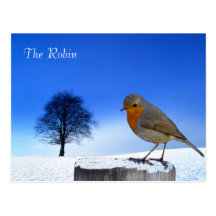 Wildlife Postcard